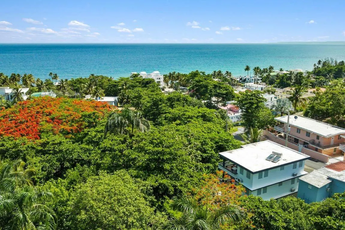 Casa Al Mare #3- 1 Bdr - 4 Min Walk To Sandy Beach Rincón 0*,
